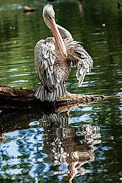 《死亡岛2》角色预告 明年4月28日发售